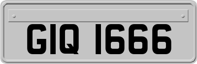 GIQ1666