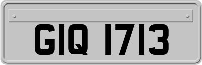 GIQ1713