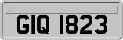GIQ1823
