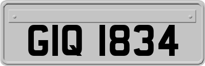 GIQ1834