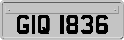 GIQ1836