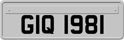 GIQ1981