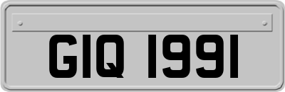 GIQ1991