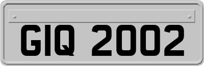 GIQ2002