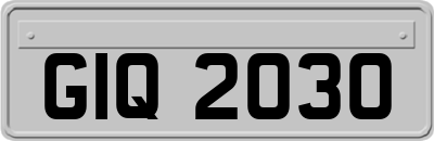 GIQ2030