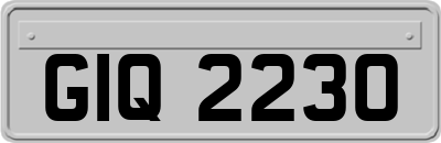 GIQ2230