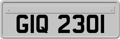 GIQ2301