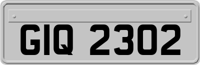 GIQ2302