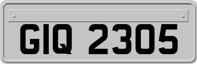 GIQ2305