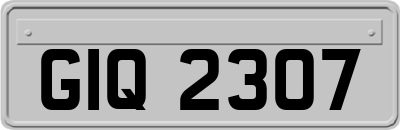 GIQ2307