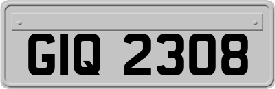GIQ2308