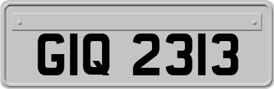 GIQ2313