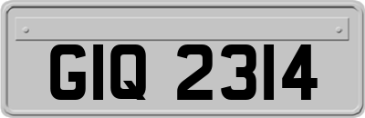 GIQ2314