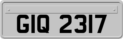 GIQ2317