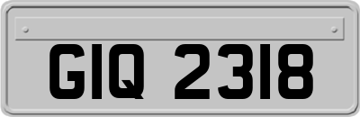 GIQ2318