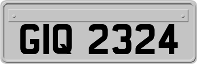 GIQ2324
