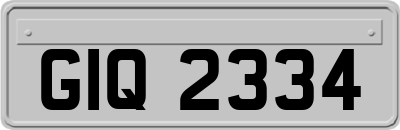 GIQ2334