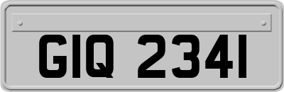 GIQ2341