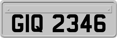 GIQ2346