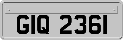 GIQ2361