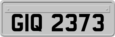 GIQ2373