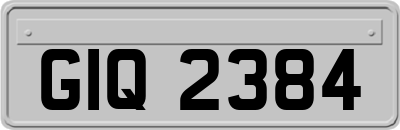 GIQ2384