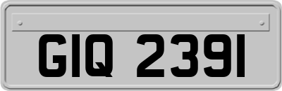 GIQ2391