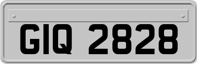 GIQ2828