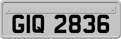 GIQ2836