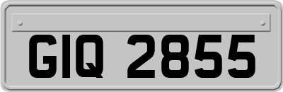GIQ2855