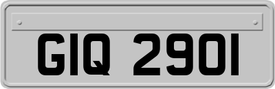 GIQ2901