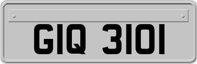 GIQ3101