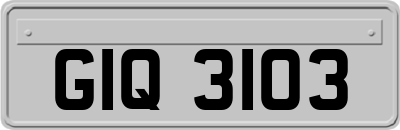 GIQ3103