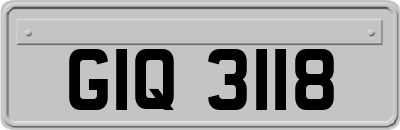 GIQ3118