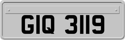 GIQ3119