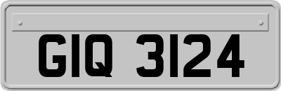GIQ3124