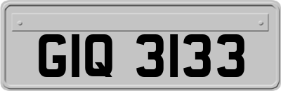 GIQ3133
