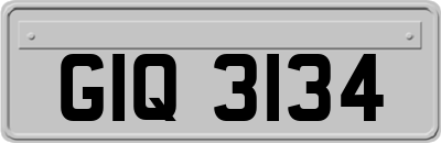 GIQ3134