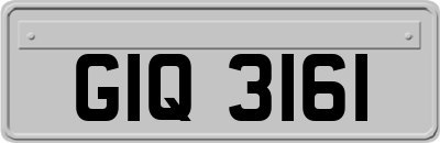 GIQ3161