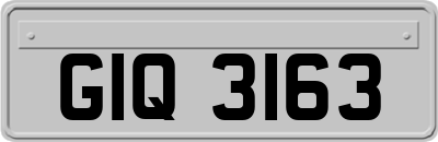 GIQ3163