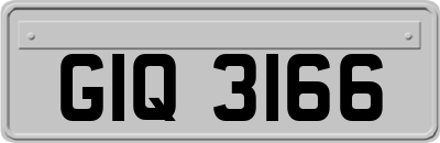 GIQ3166
