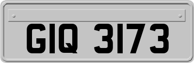 GIQ3173