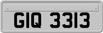 GIQ3313