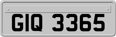 GIQ3365
