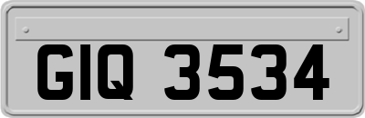GIQ3534