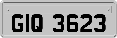 GIQ3623
