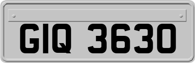 GIQ3630