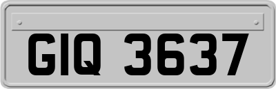GIQ3637