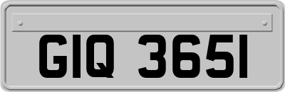 GIQ3651