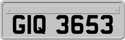 GIQ3653